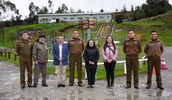 Gobernadora y Consejeros analizan en Puerto Montt la formación de una Escuela de Carabineros en Aysén.