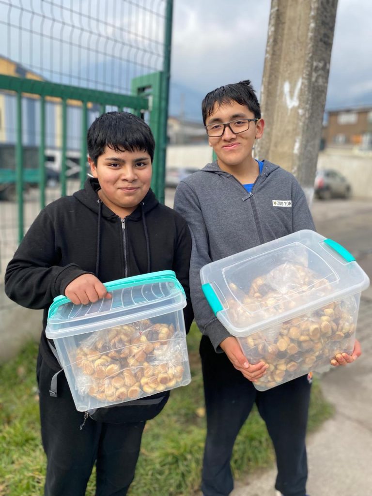 Los hermanos Vásquez, jóvenes que han vendido más de 3000 galletas en Coyhaique