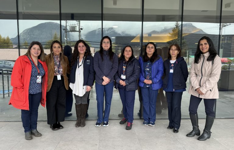 Colegio de Enfermeras se suma a Campaña de Invierno  impulsada por Seremi de Salud Aysén